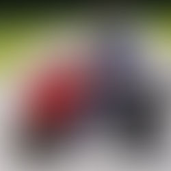 Ashcourt Racing RC45