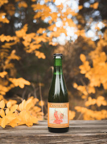 lambic