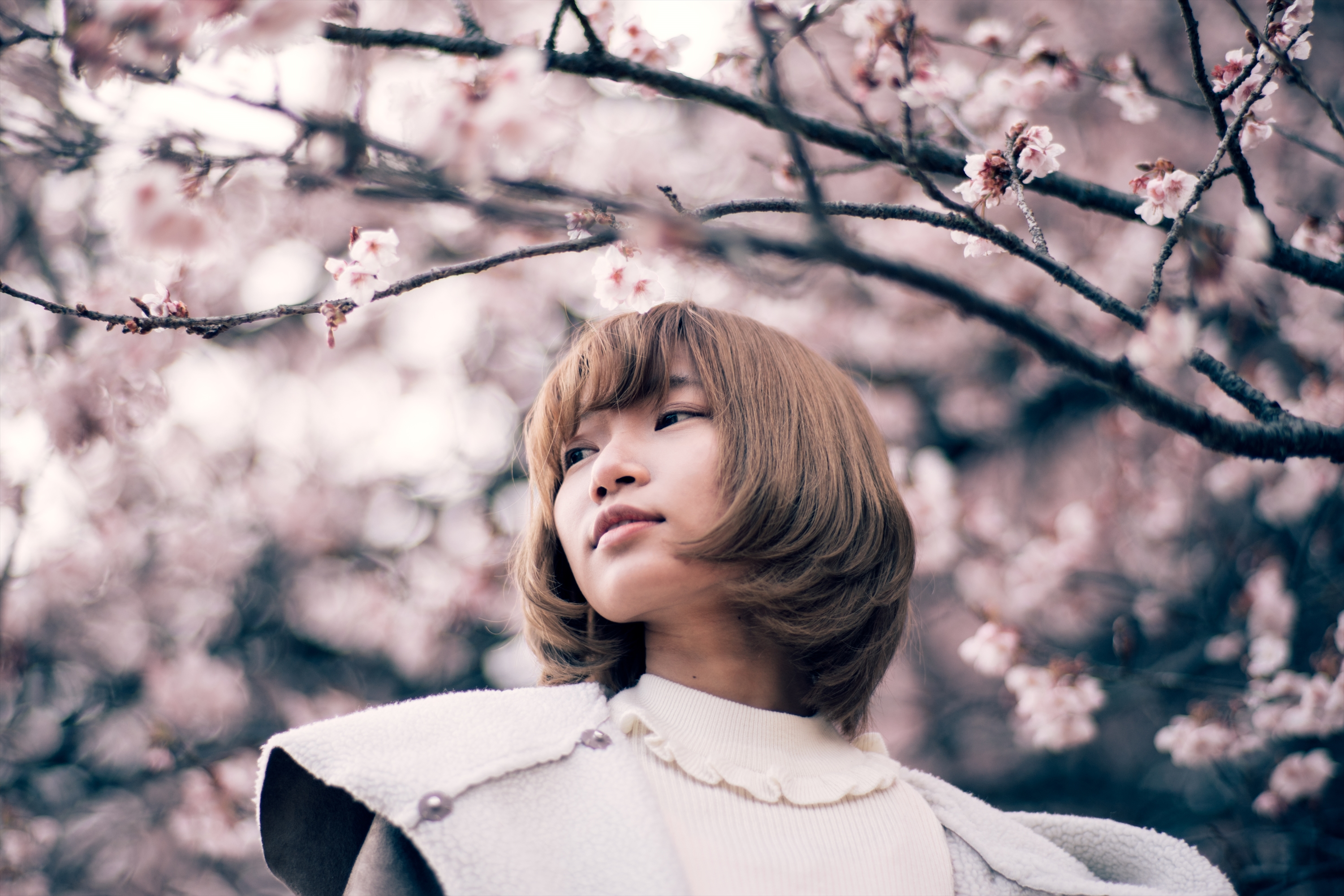 CONTAX Planar 85mm F1.4 MMJ