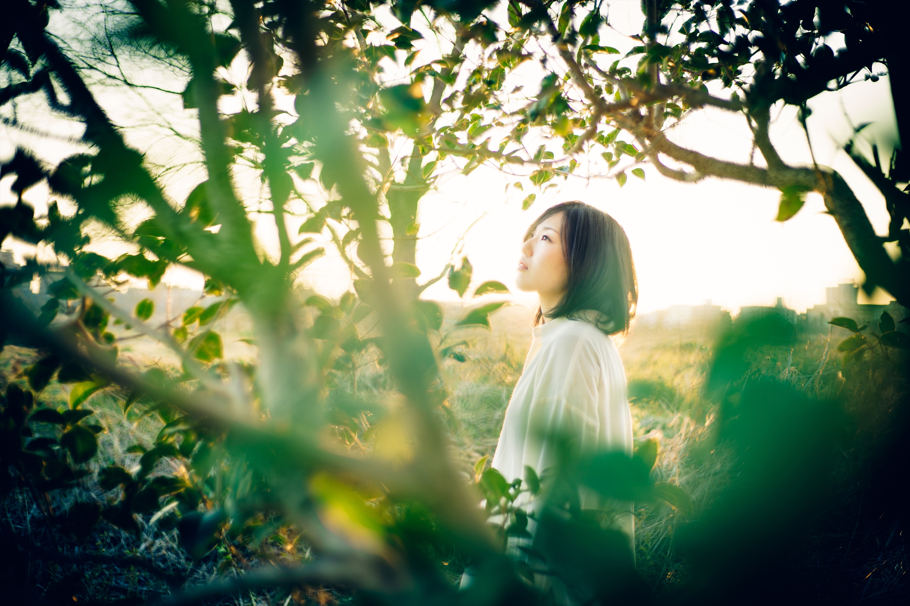 CONTAX Planar 85mm F1.4 MMJ