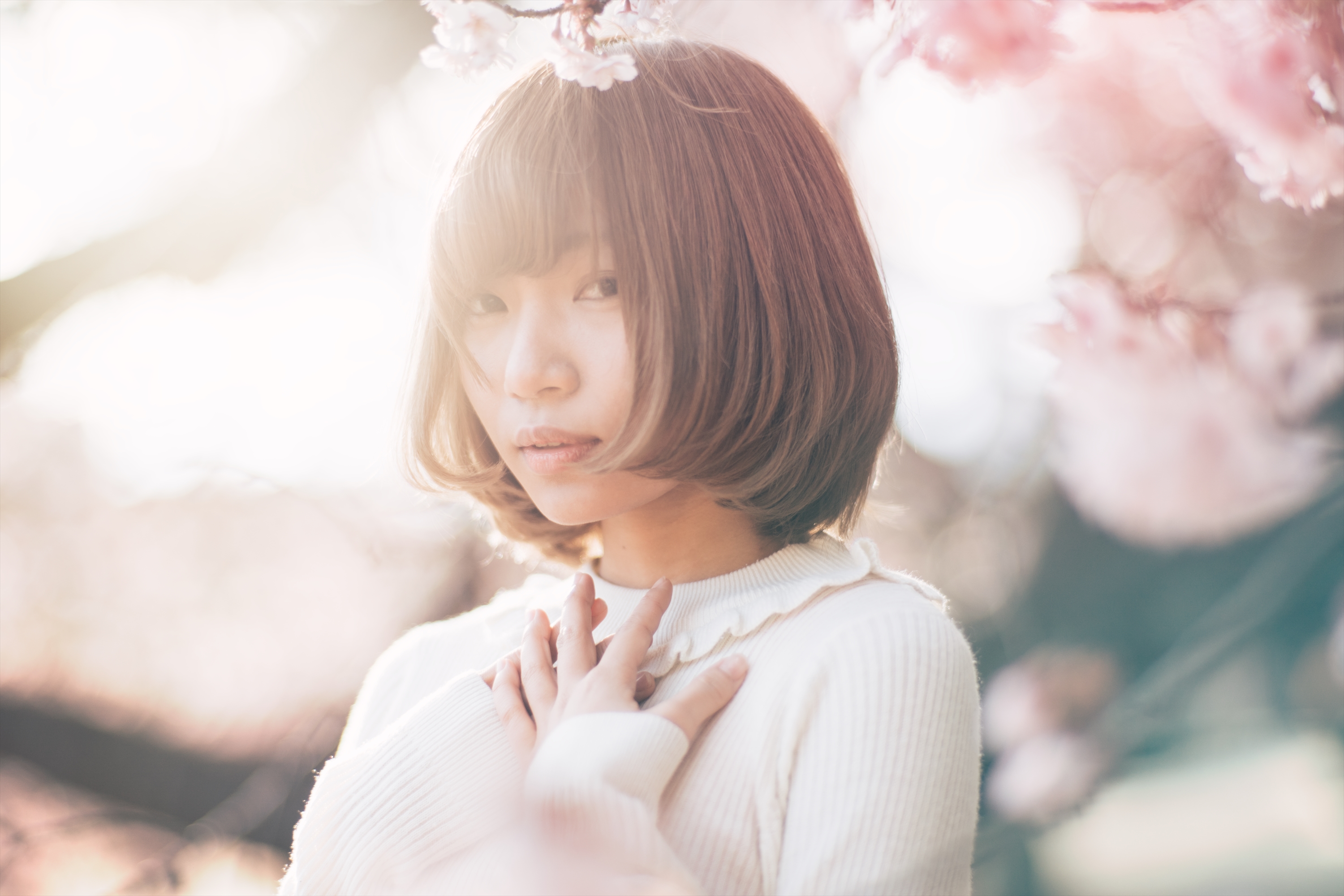 CONTAX Planar 85mm F1.4 MMJ