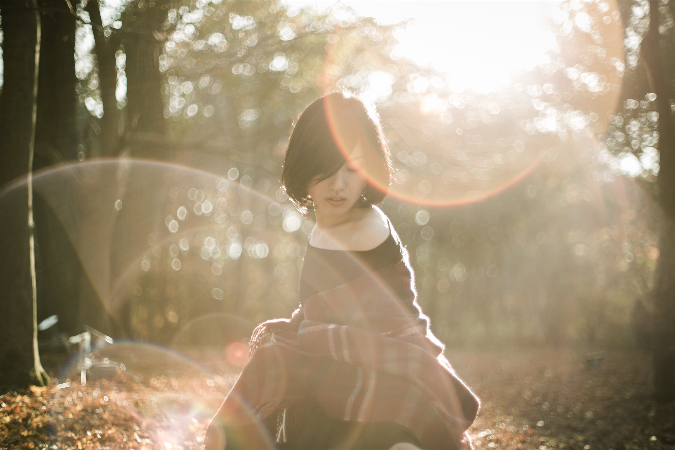 旭光学 Super Takumar 50mm F1.4