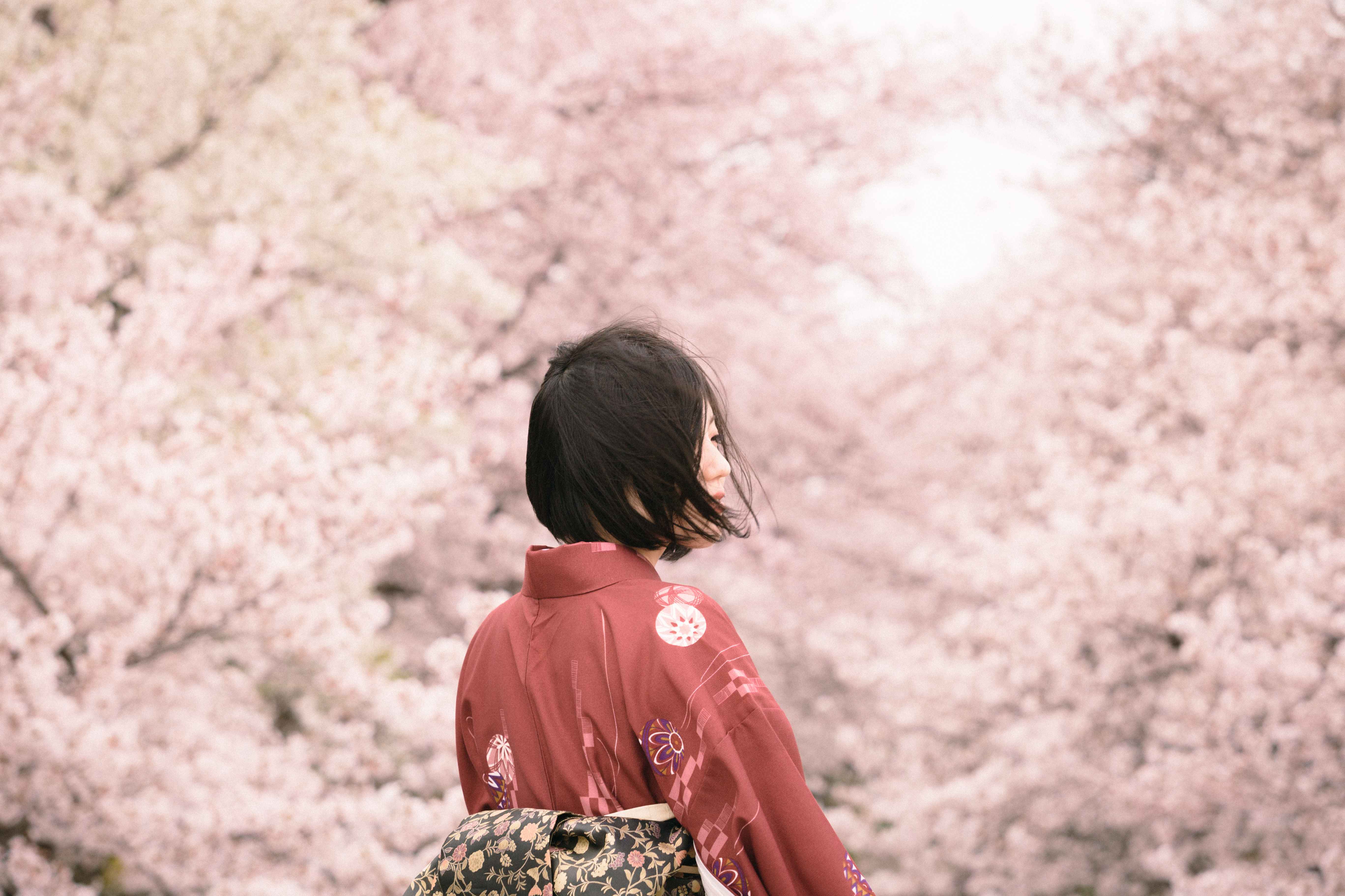 CANON EF 70-200mm F2.8 L USM