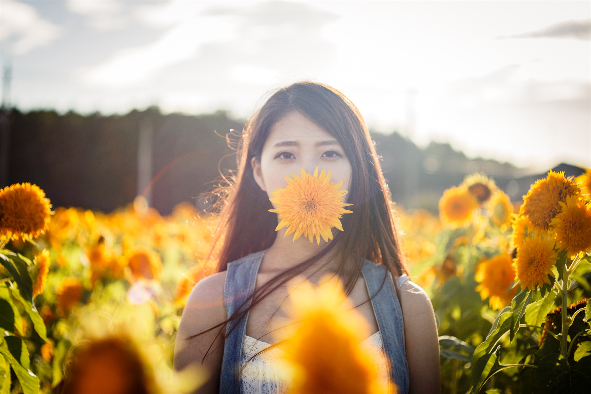 Carl Zeiss Makro Planar 50mm F2.0