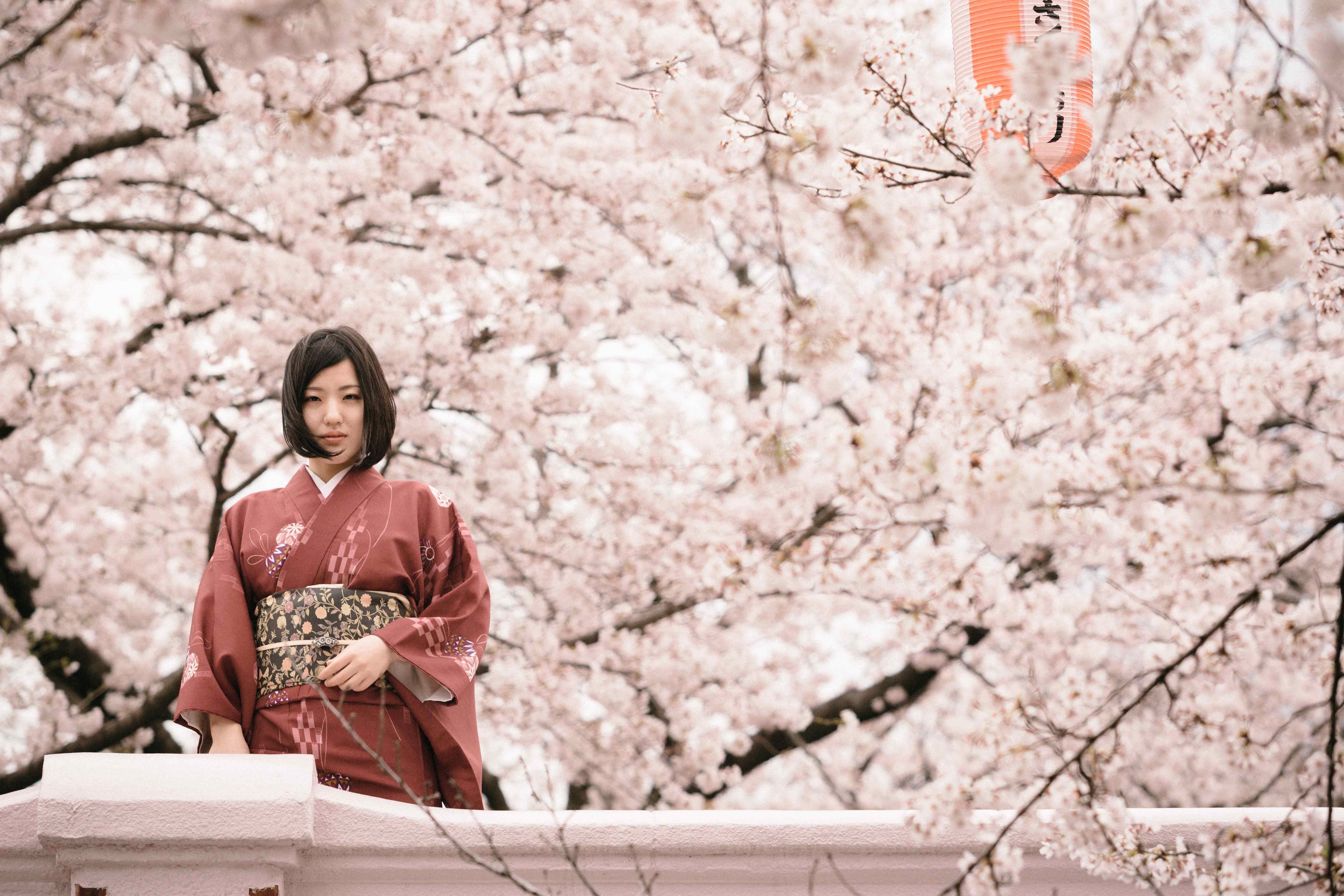 CANON EF 70-200mm F2.8 L USM