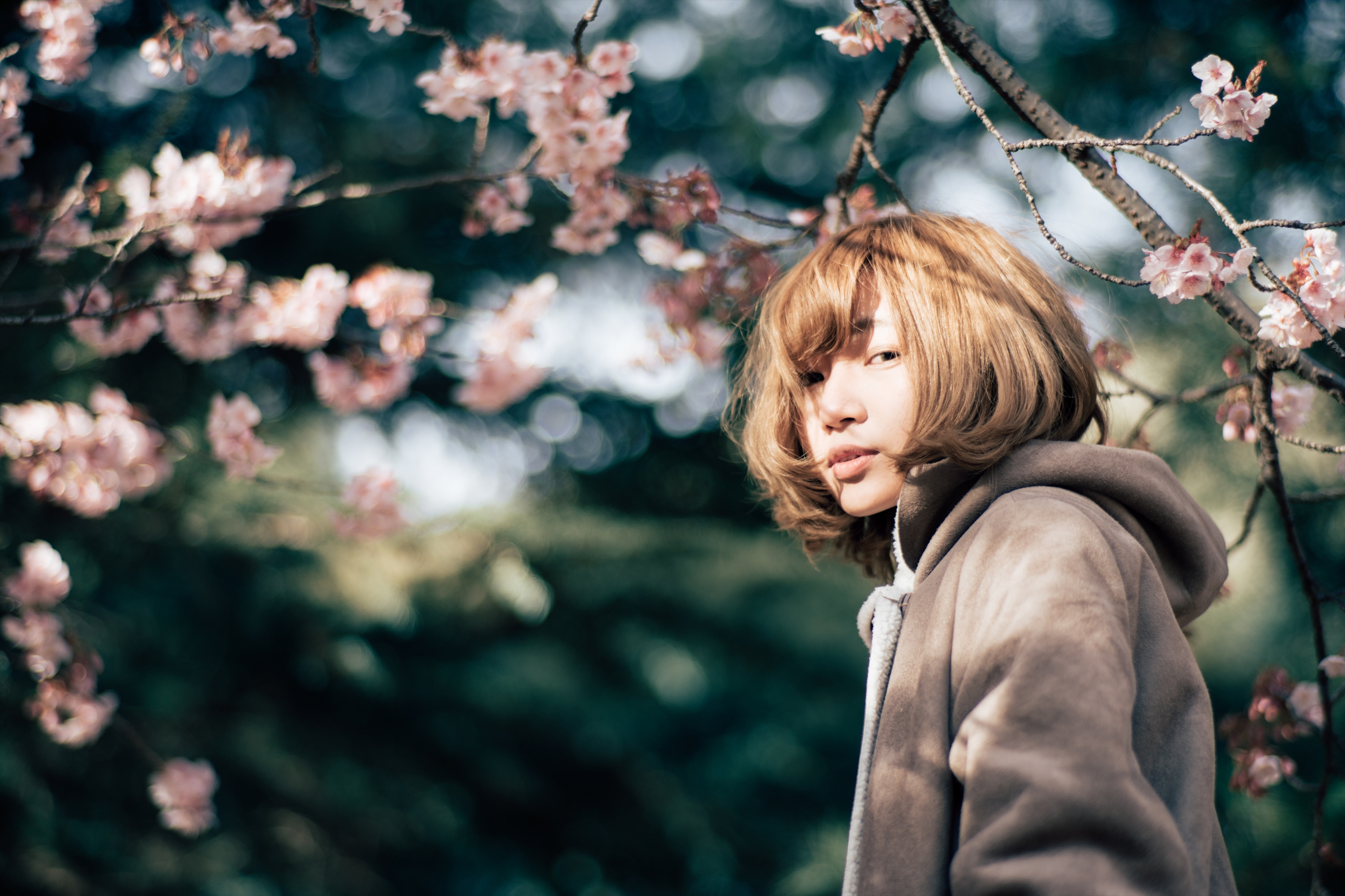 CONTAX Planar 85mm F1.4 MMJ