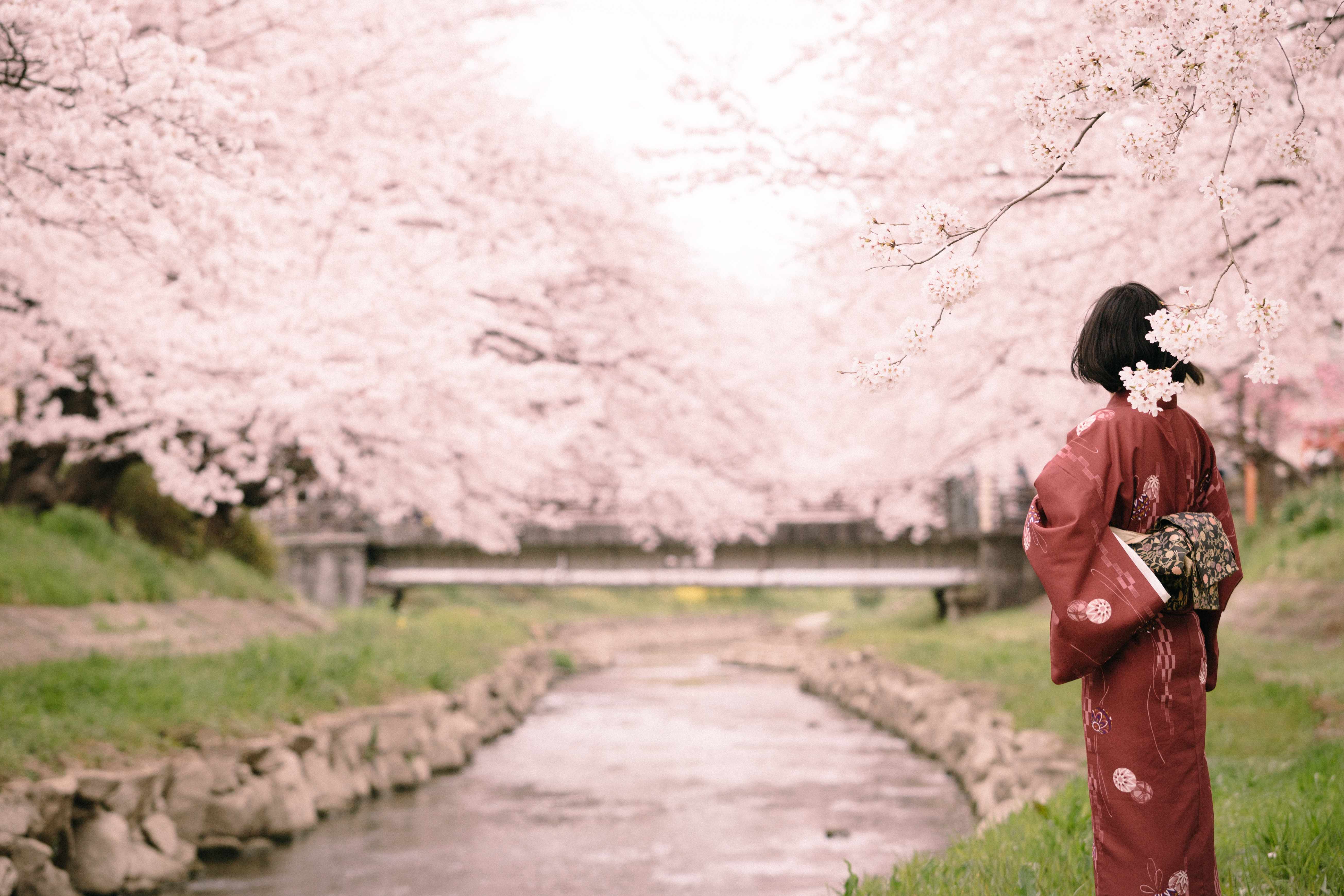 CANON EF 70-200mm F2.8 L USM