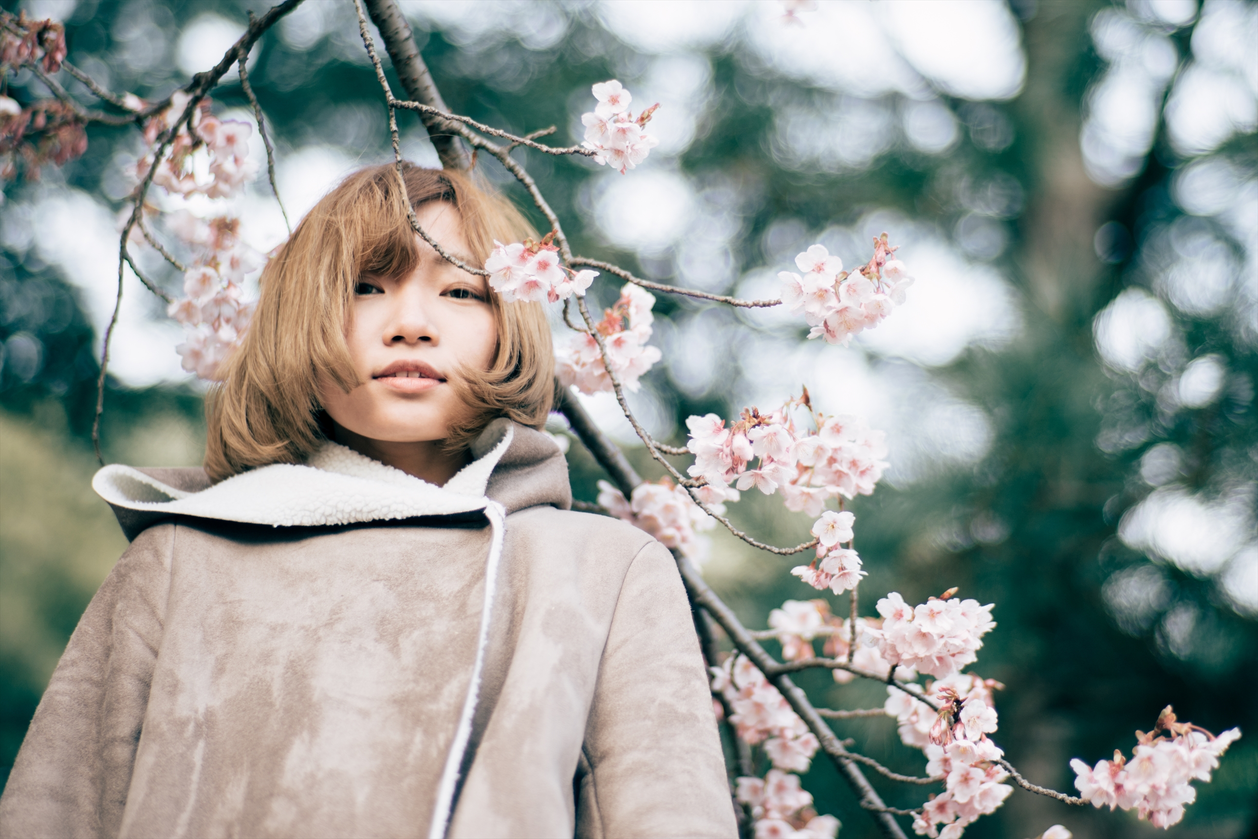 CONTAX Planar 85mm F1.4 MMJ