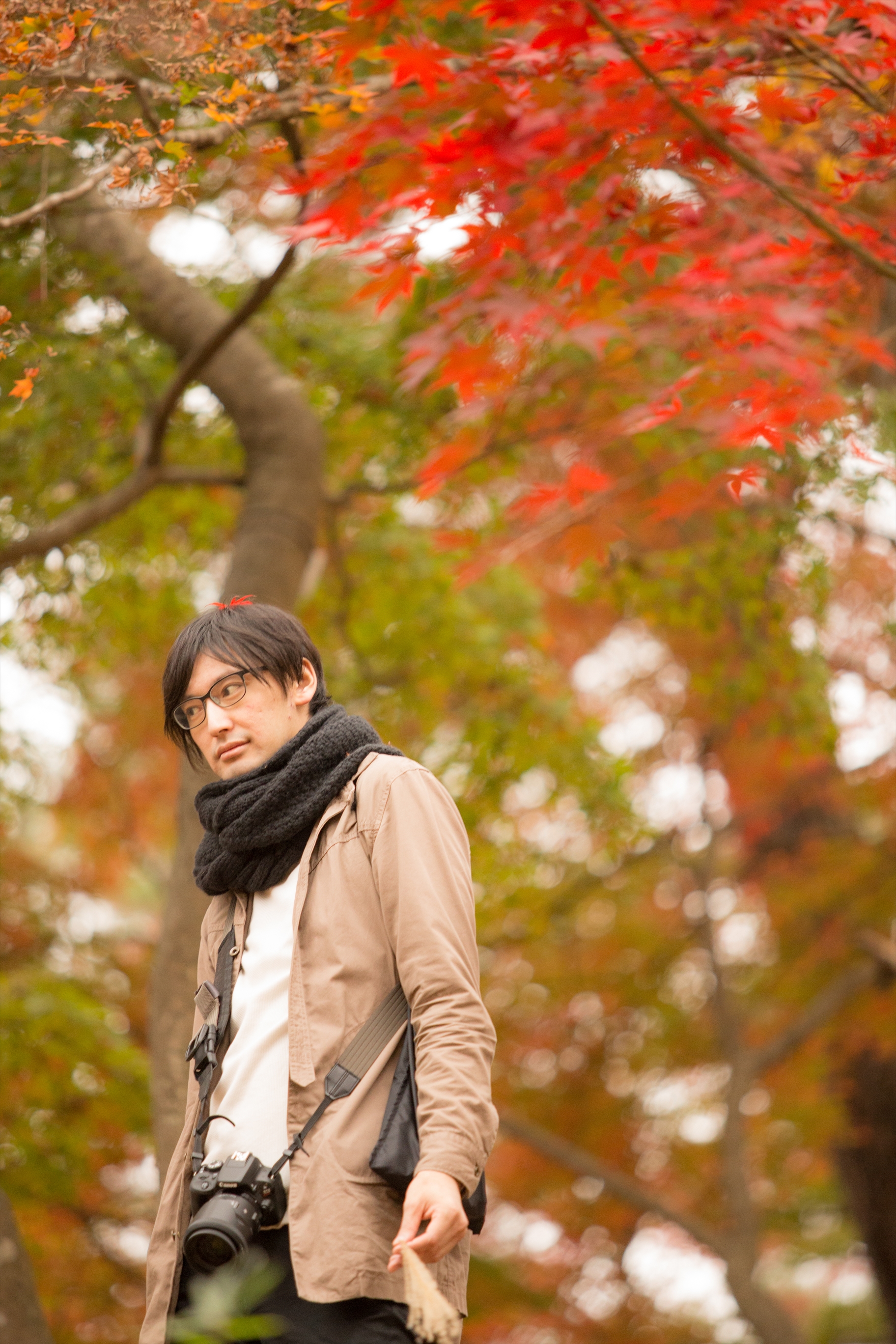 CANON EF 70-200mm F2.8 L USM