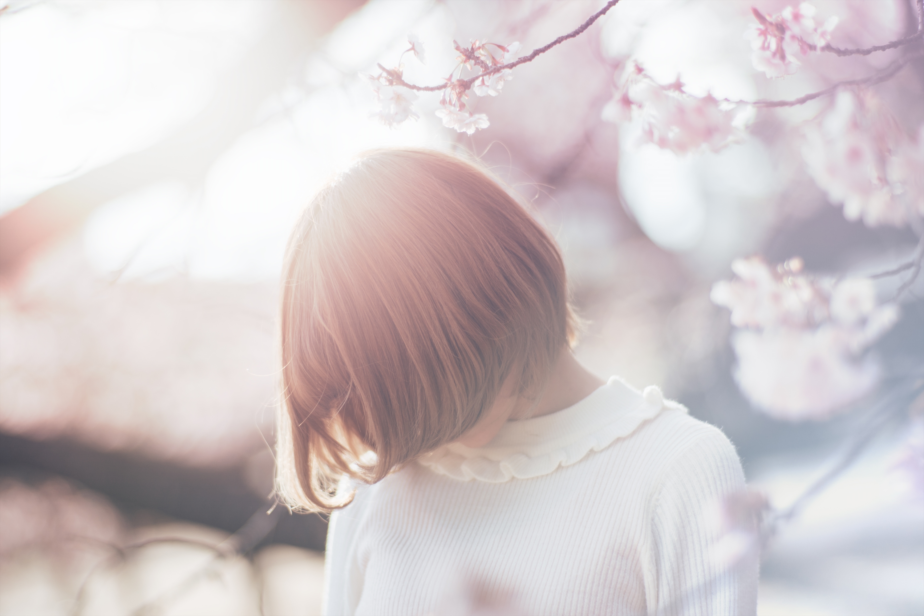 CONTAX Planar 85mm F1.4 MMJ