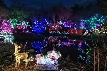 Japanese Garden Lights 2023 - 3.jpg