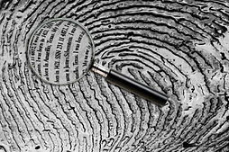fingerprints_edited.jpg