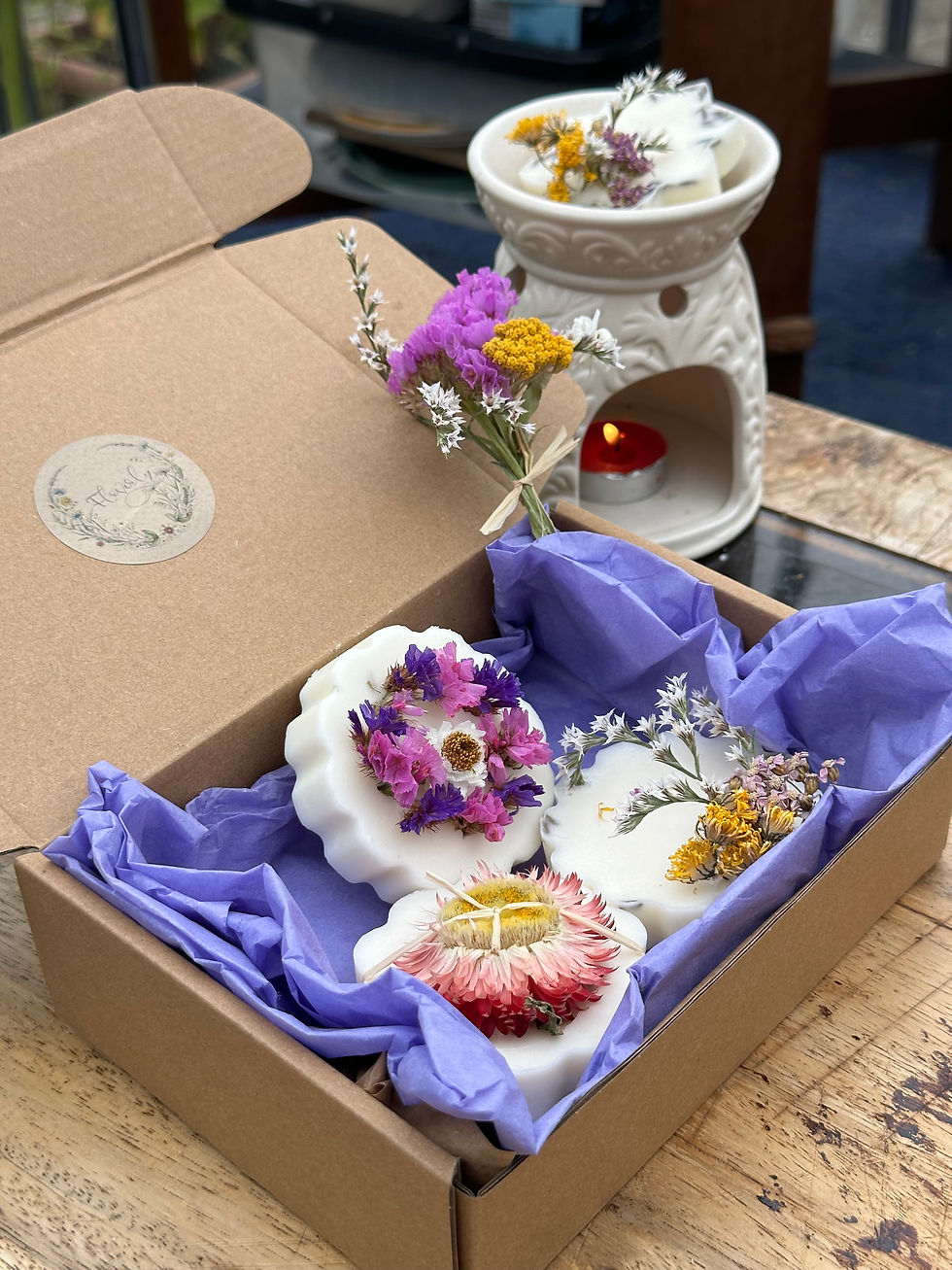 BOTANICAL MELTS - `AUTUMN FEELS` BOX SET X3