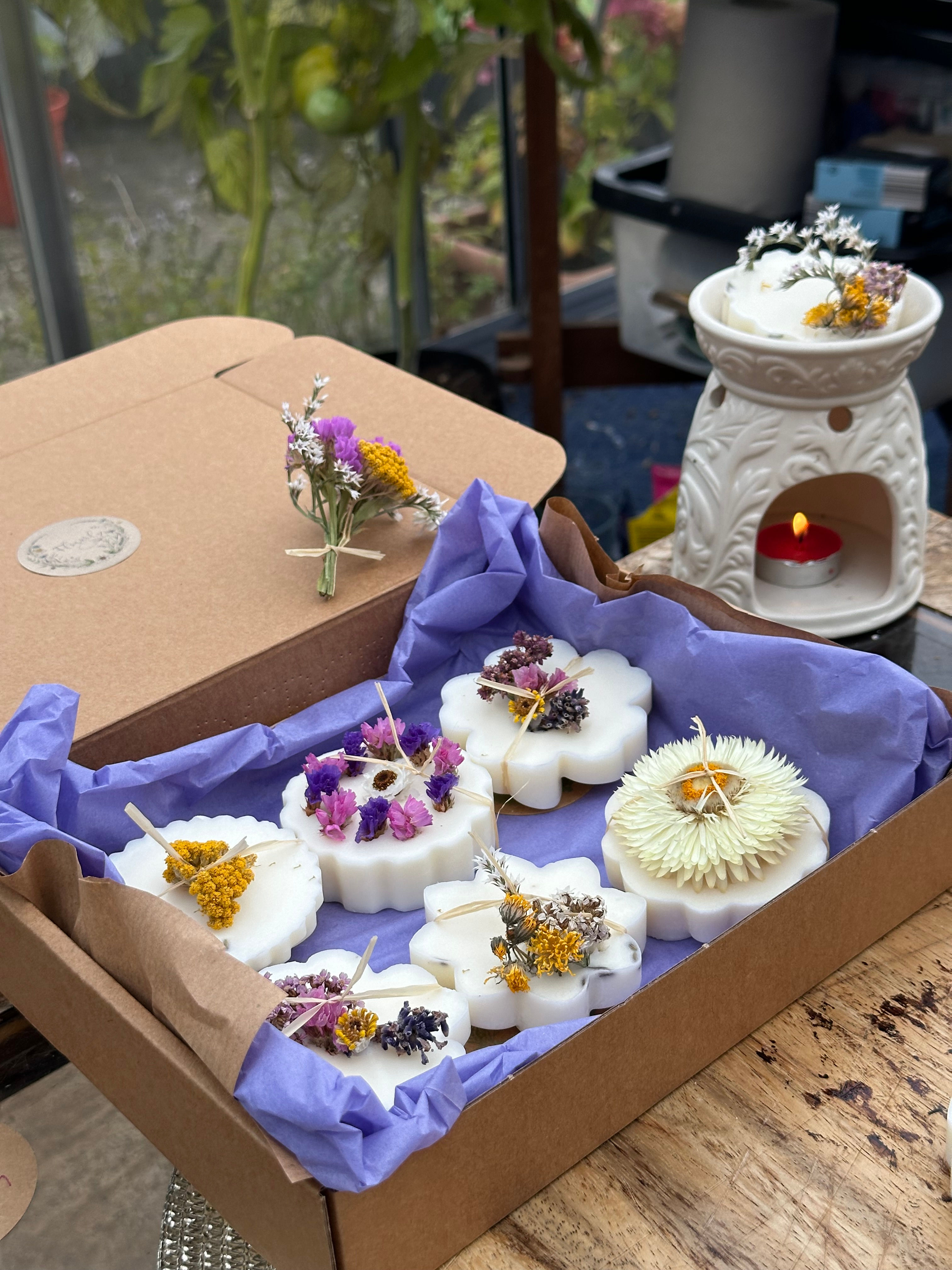 BOTANICAL MELTS -  BOX SET X6