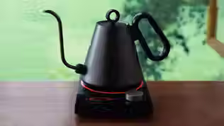 Palatti Enso Gooseneck Electric Kettle
