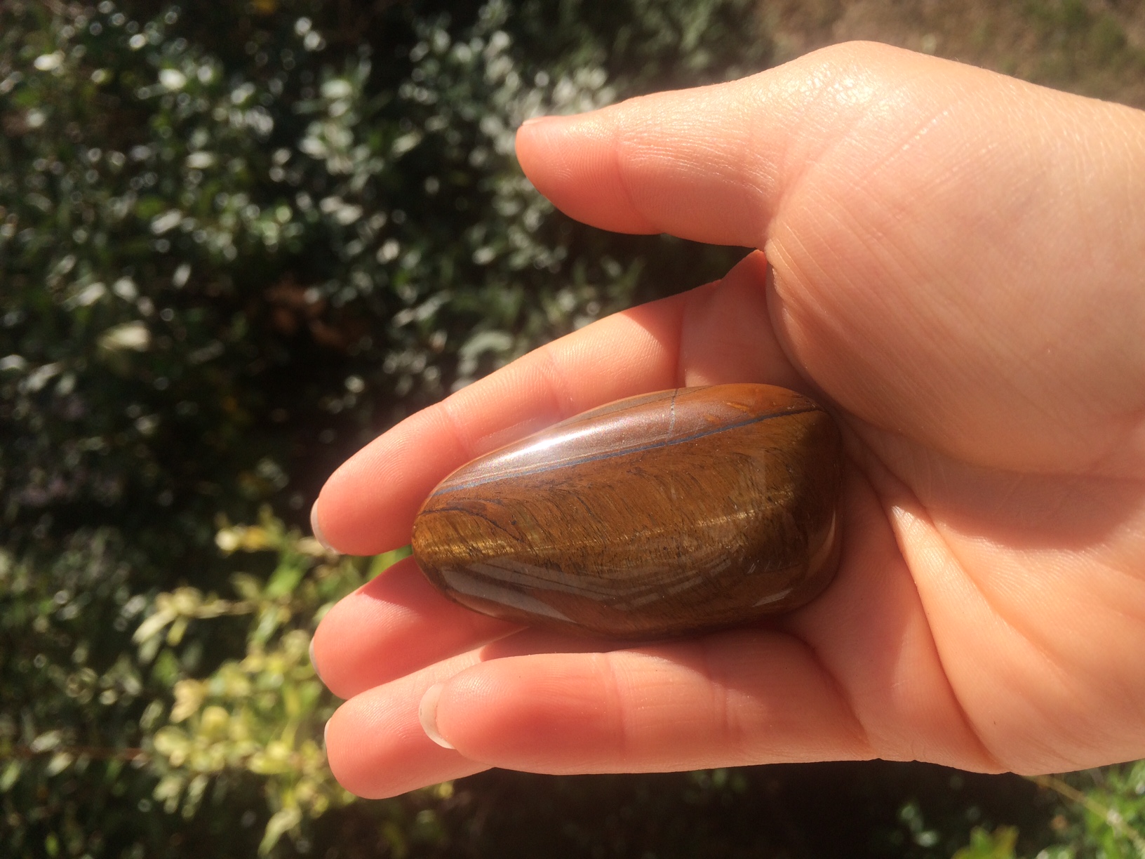 Oeil de tigre (5,5*3cm) 6 €