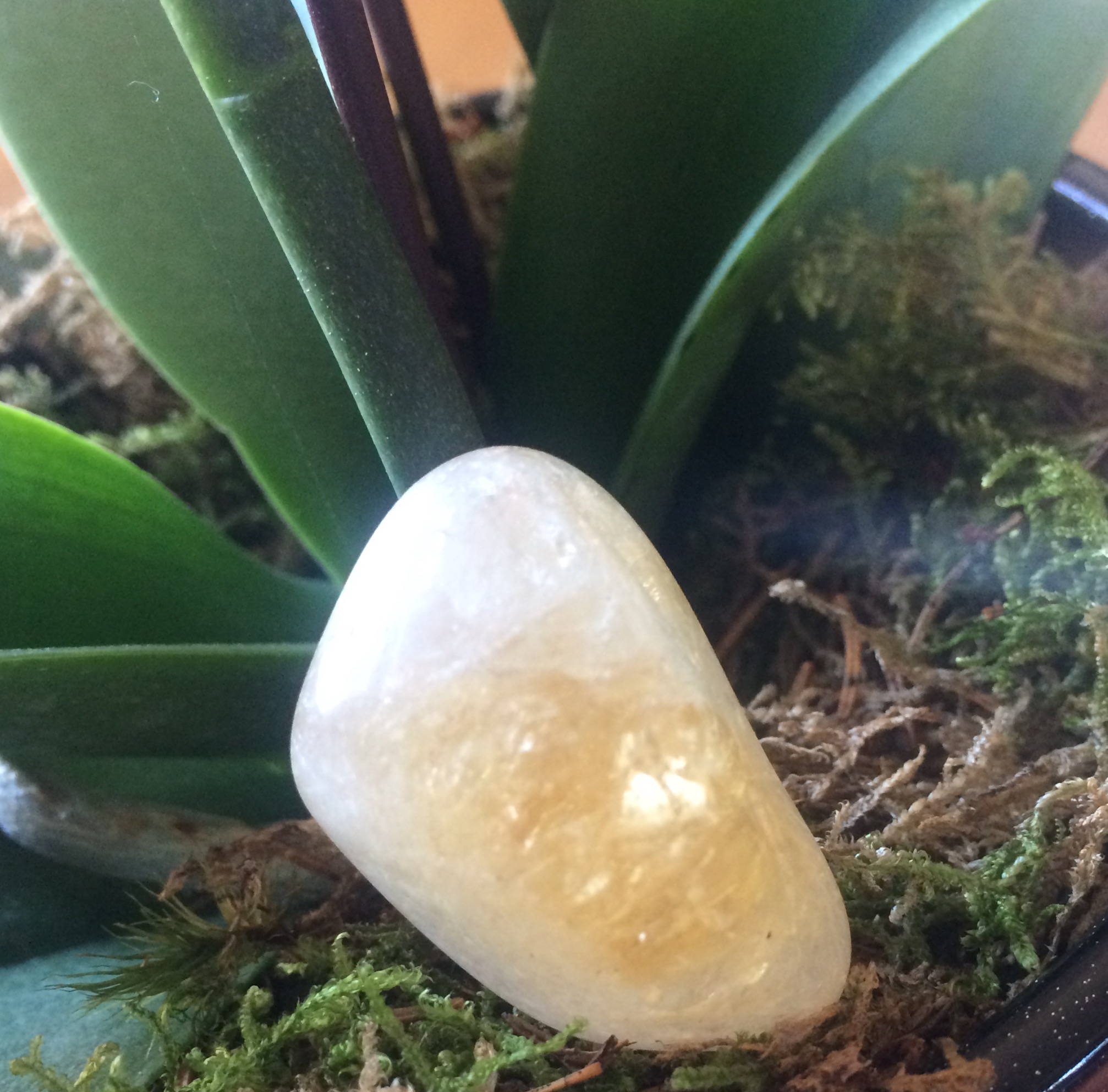 Citrine - 3 €