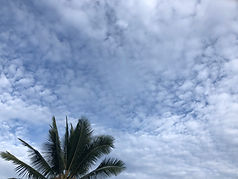 img_2401.jpeg