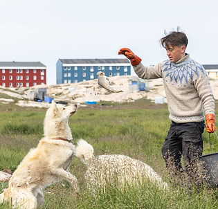 morgan with dogs_.jpg