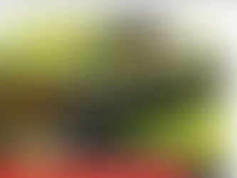 Tudo o que você precisa saber sobre telhado verde!