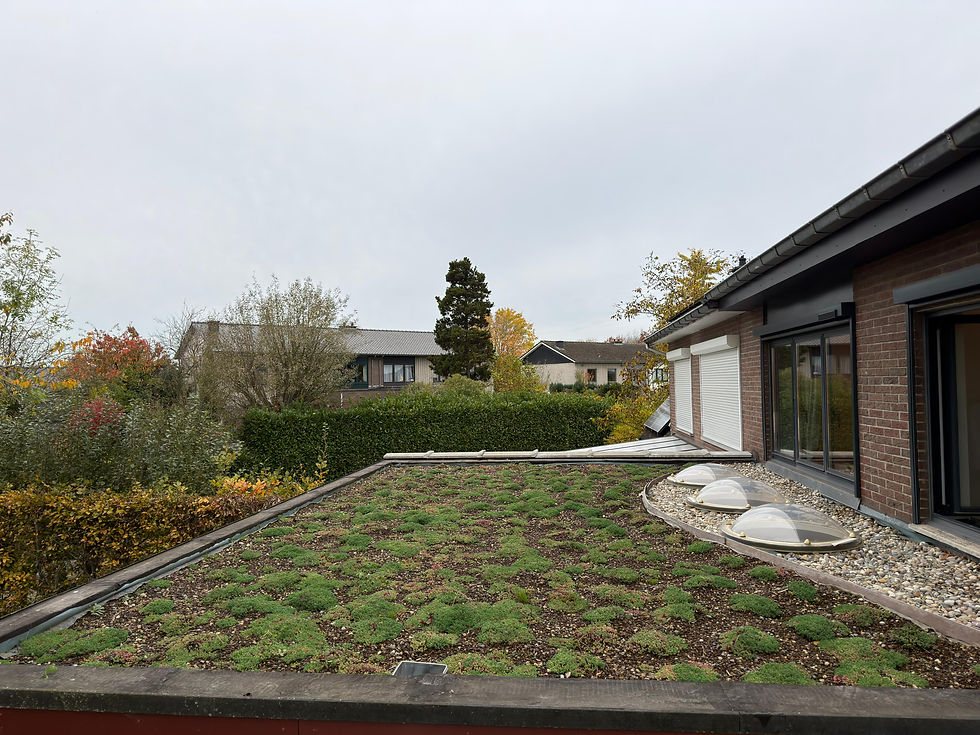 Groendak-in-lagen-sedumpotplanten-lokaal-PLANTENDAK