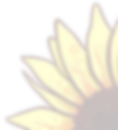 Sunflower Corner.png