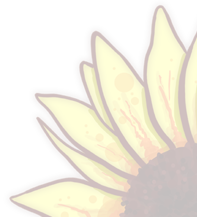Sunflower Corner.png