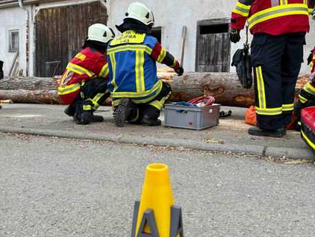 Übungsdienst EA Freudenweiler