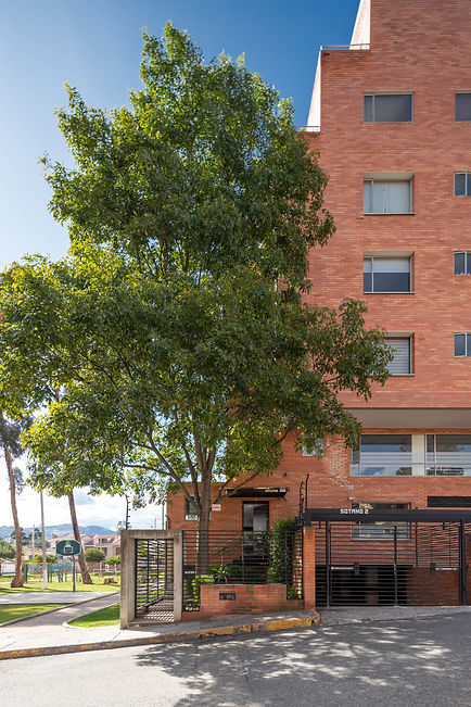 Oficina Moscoso Arquitectos-13.jpg