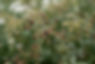 Wraxall Yard July 2024 Sam Rose -5768.jpg