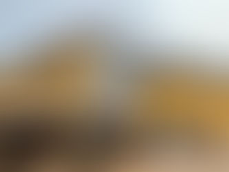 2021 December Newsletter