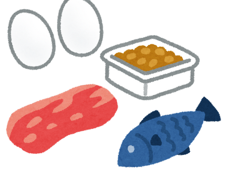 タンパク質摂取について