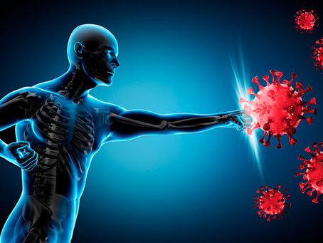 冬に向けた免疫アップ