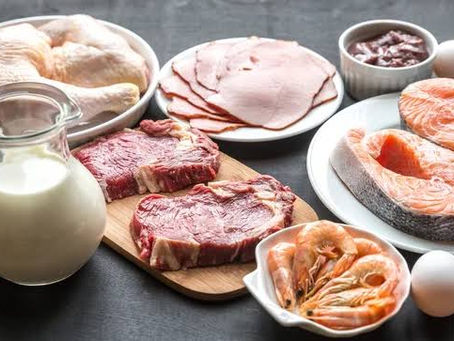 タンパク質　パート2