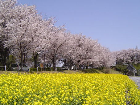 【春の不調がつらい方へ】寒暖差で肩こり・頭痛・自律神経が乱れやすい理由