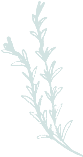 icon_herbs05.png