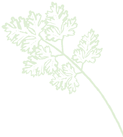 icon_herbs03.png