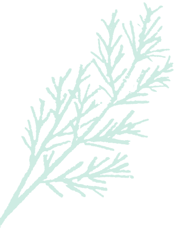 icon_herbs02.png