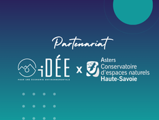 iDÉE x Asters