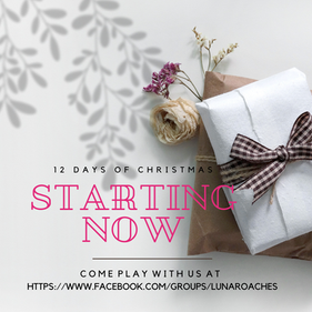 Our Annual Christmas Giveaway and other news!