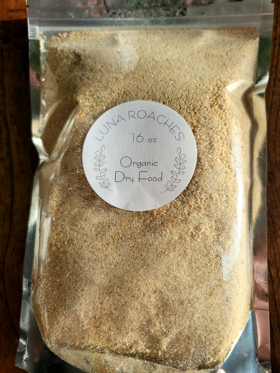 FOOD & WATER CRYSTALS Luna Roaches