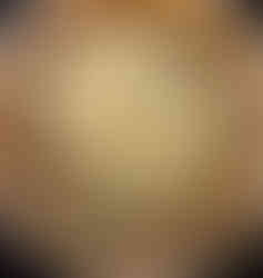 Partially assembled Quiche