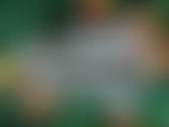 Gutloading your insects