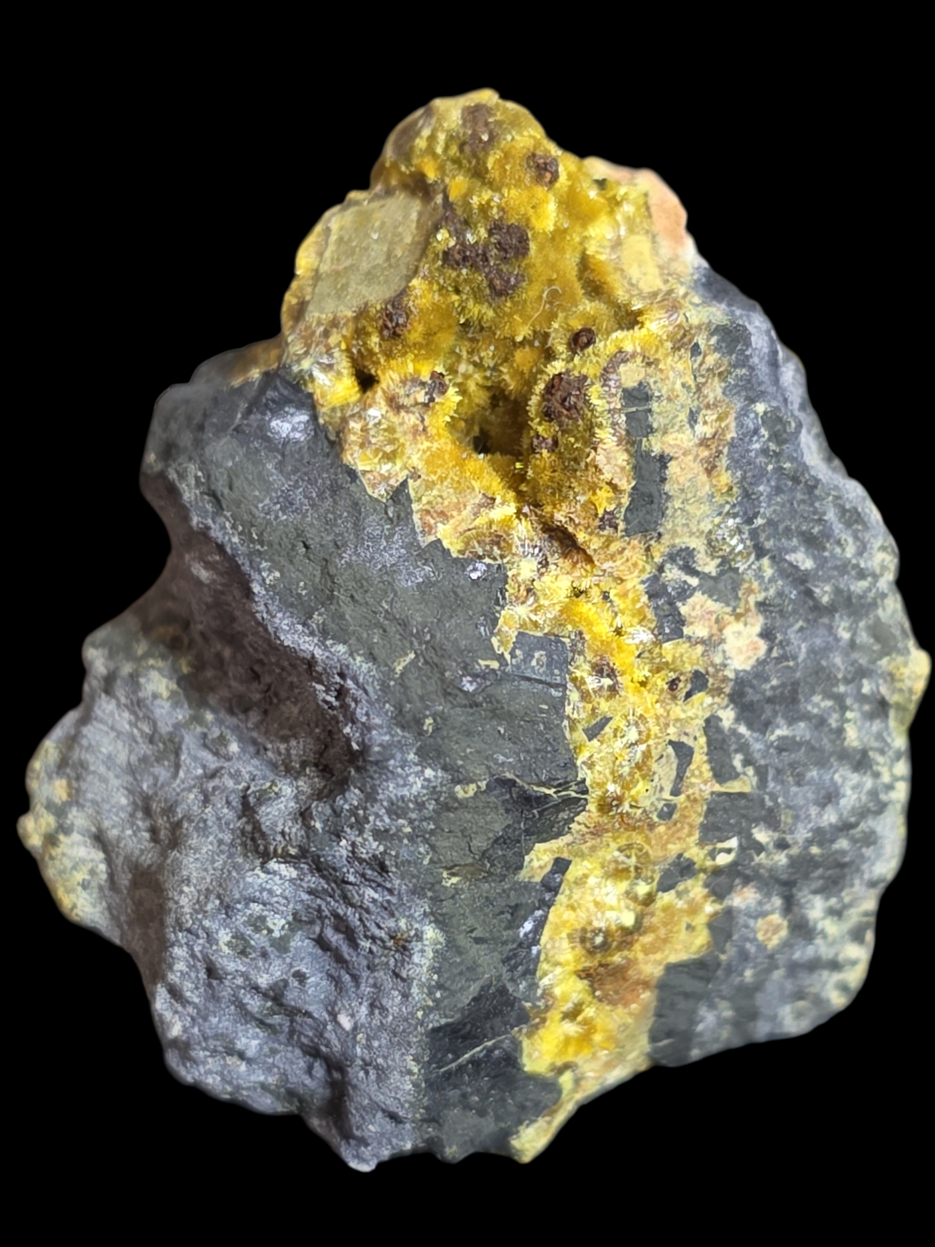 Crystallized Uraninite with Uranophane with Minor Curite