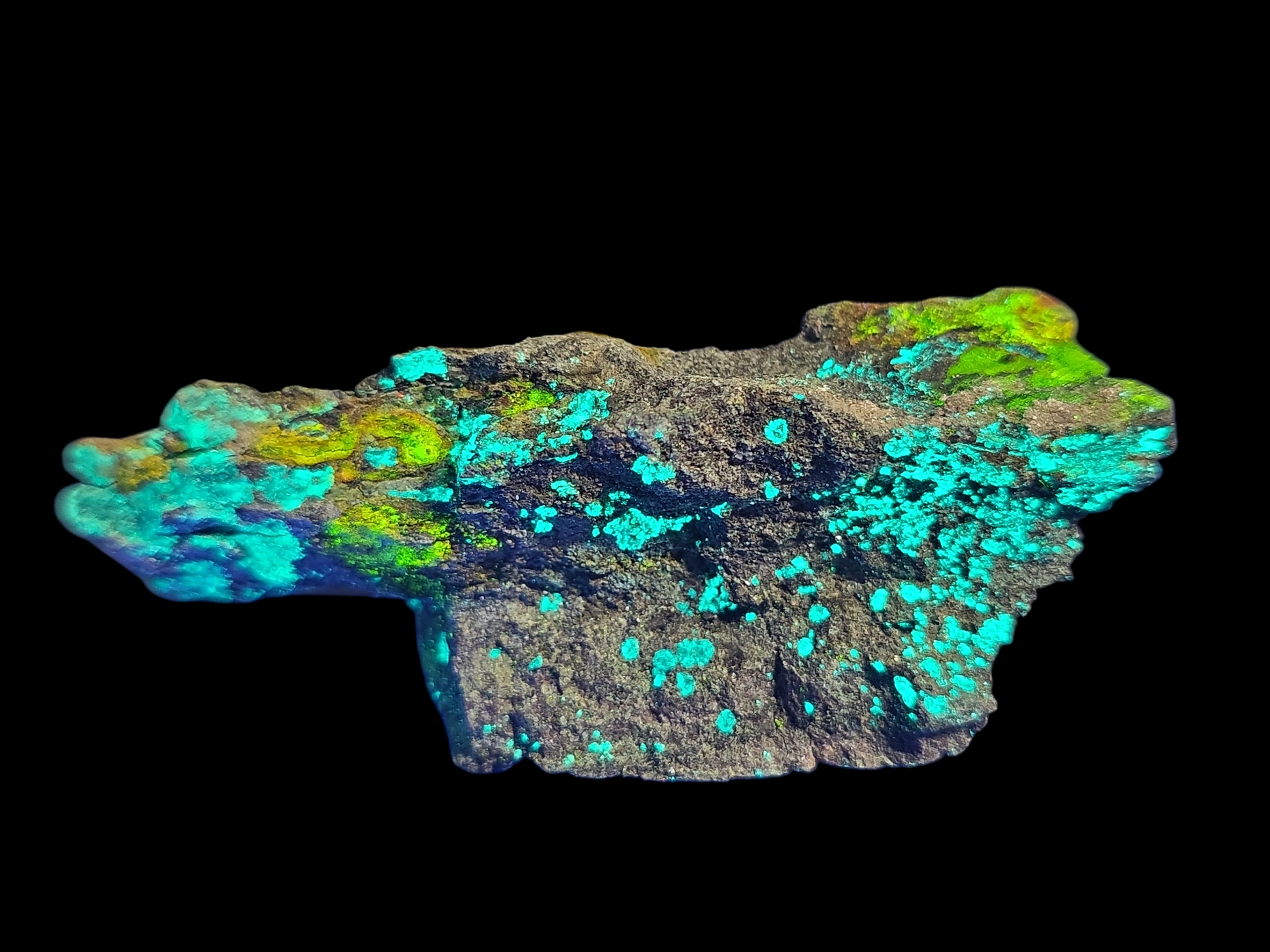 Anderosnite and Zippeite on Petrified Wood from Utah