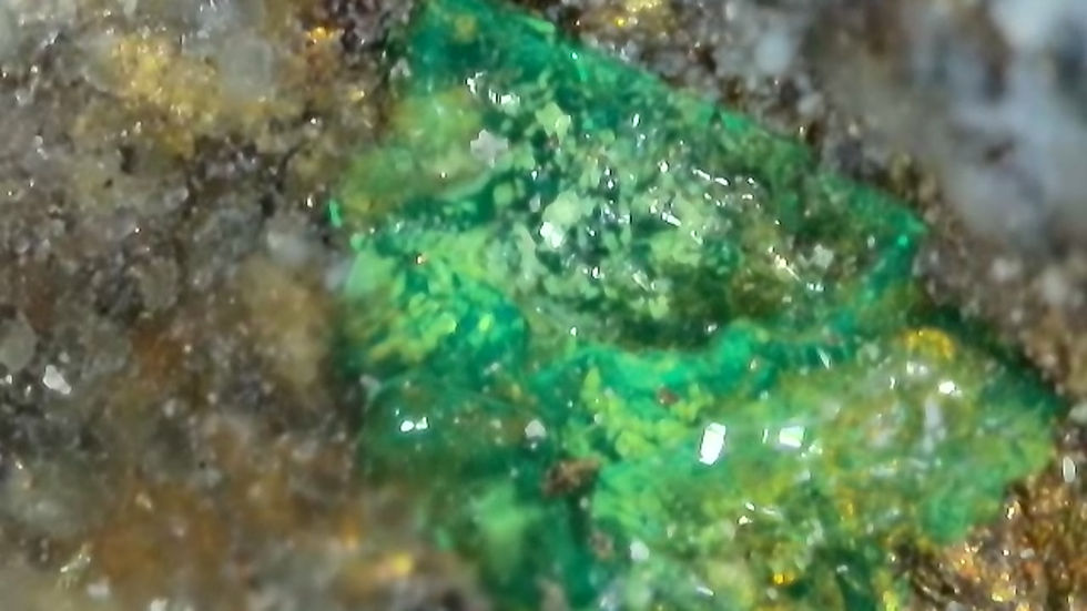 Thumbnail: Golden Chalcopyrite with Andersonite, Natrozippeite, and Pyrite from Utah