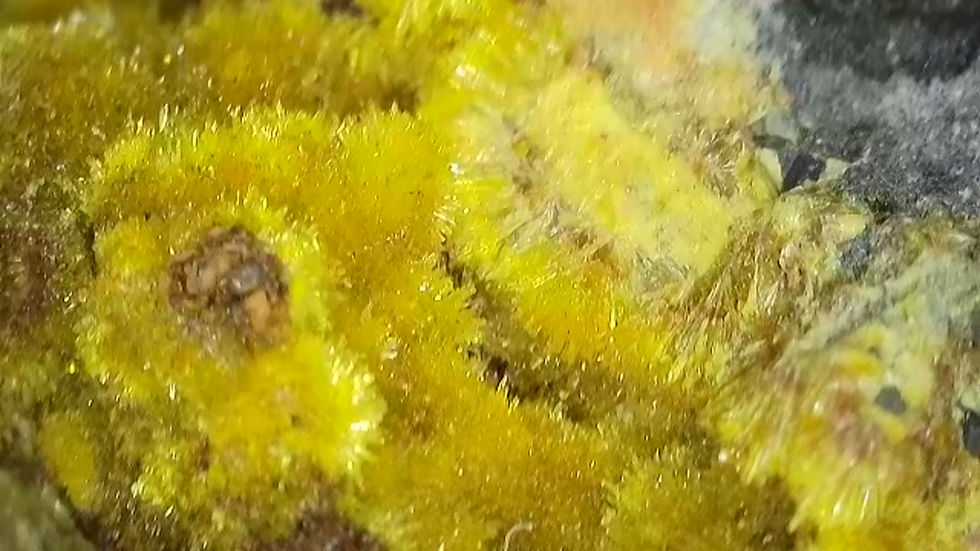 Thumbnail: Crystallized Uraninite with Uranophane with Minor Curite
