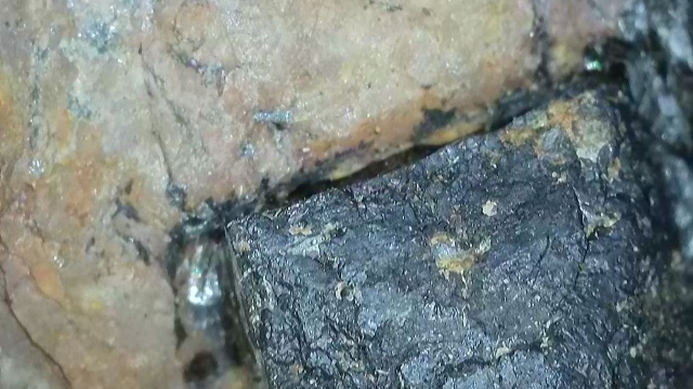 Thumbnail: Multitude of Uraninite Crystals in Matrix from Agder, Norway