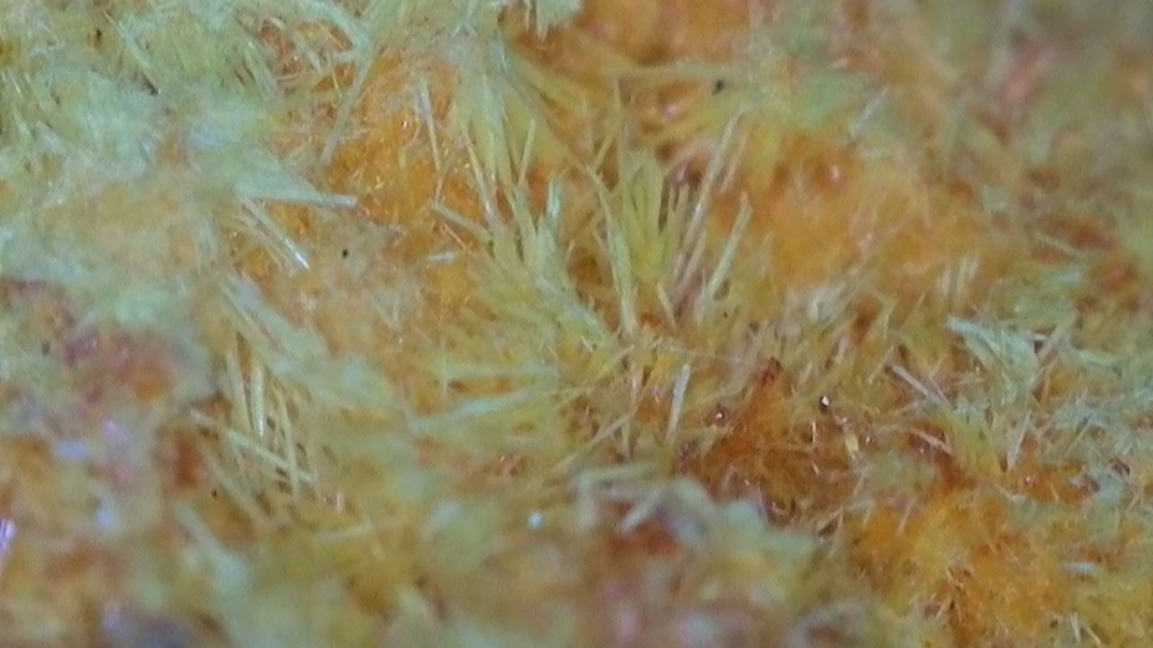 175kcpm Shinkolobwe Curite with Nice Crystallized Portion