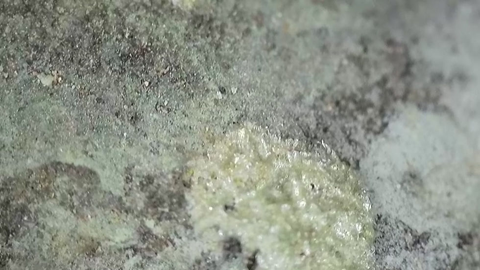 Thumbnail: Rare Arsenic Mineral Fulbrightite on Uraninite
